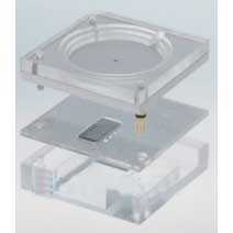 �����wģDigiDent