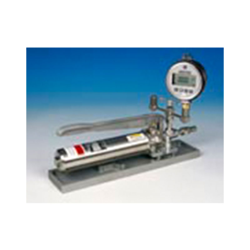 ����У�ʃxIPI systemF